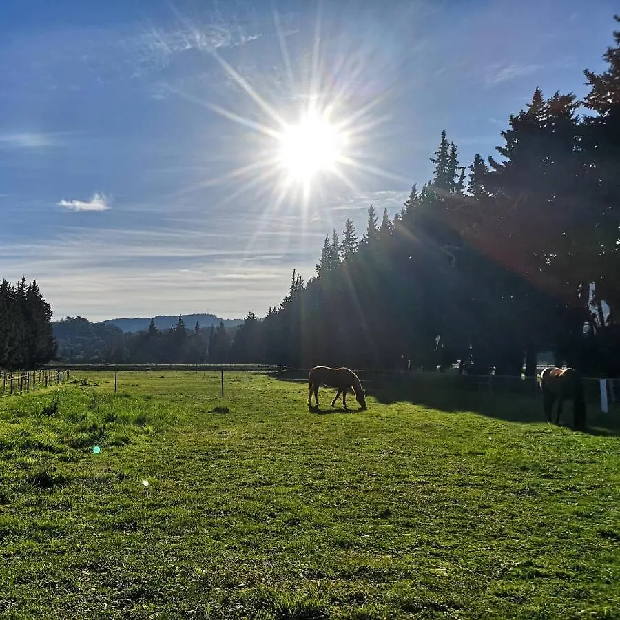 Holiday home Gite Du Poney Fringant - Prancing Pony Villa Saint-Paul-Trois-Chateaux France