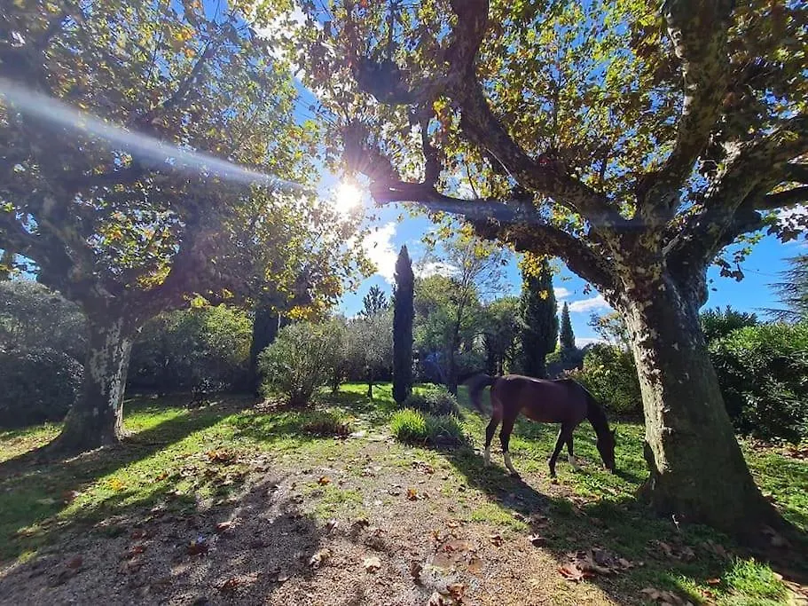 Gite Du Poney Fringant - Prancing Pony Villa Saint-Paul-Trois-Chateaux Holiday home