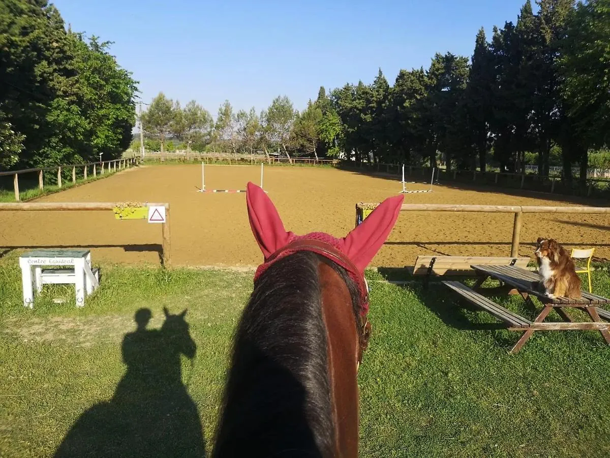 Gite Du Poney Fringant - Prancing Pony Villa Saint-Paul-Trois-Chateaux